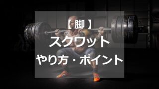 スクワットのやり方・ポイント