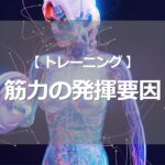 筋力の発揮要因