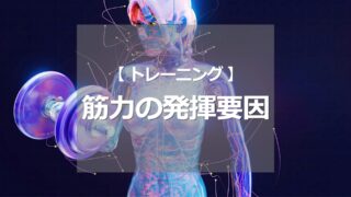 筋力の発揮要因