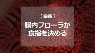 腸内フローラが食指を決める
