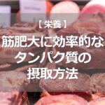 筋肥大に効率的なタンパク質の摂取方法