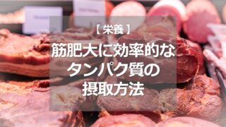 【筋肥大】効率的なタンパク質摂取方法