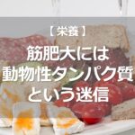 筋肥大には動物性タンパク質という迷信