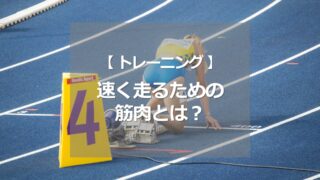 速く走るための筋肉とは？