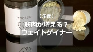 筋肉が増える？ウェイトゲイナー