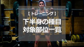 下半身の種目 対象部位一覧